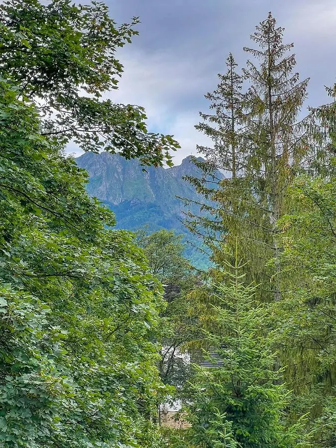Apartament Sniezna Lapa Zakopane Polska