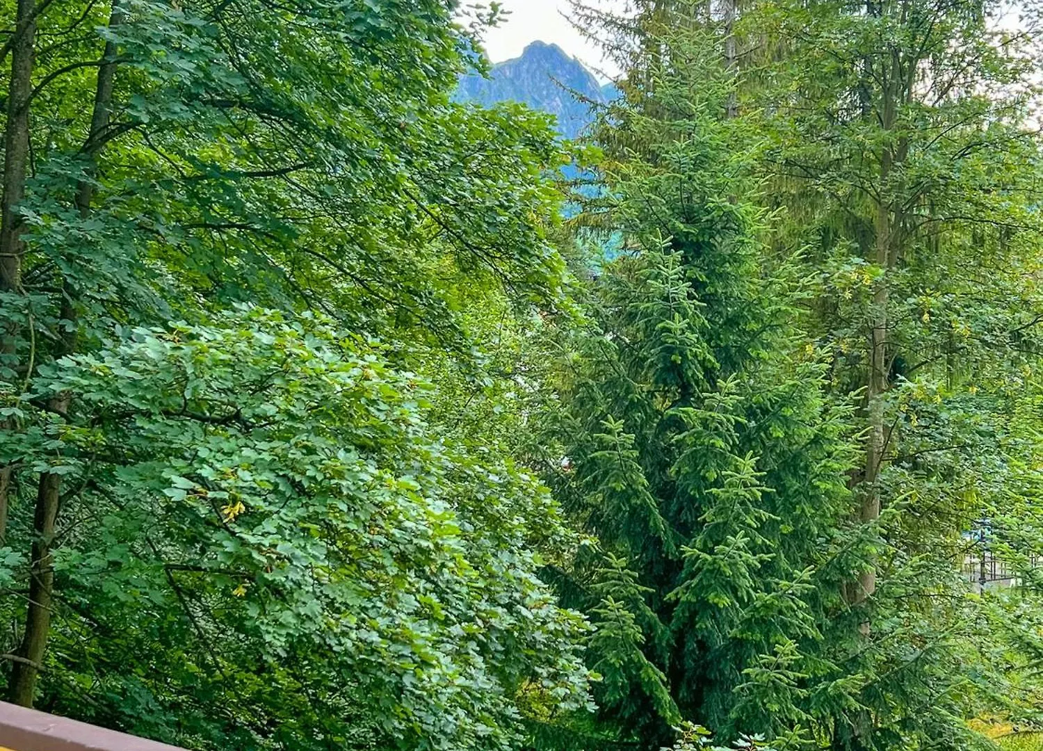 Apartament Sniezna Lapa Zakopane